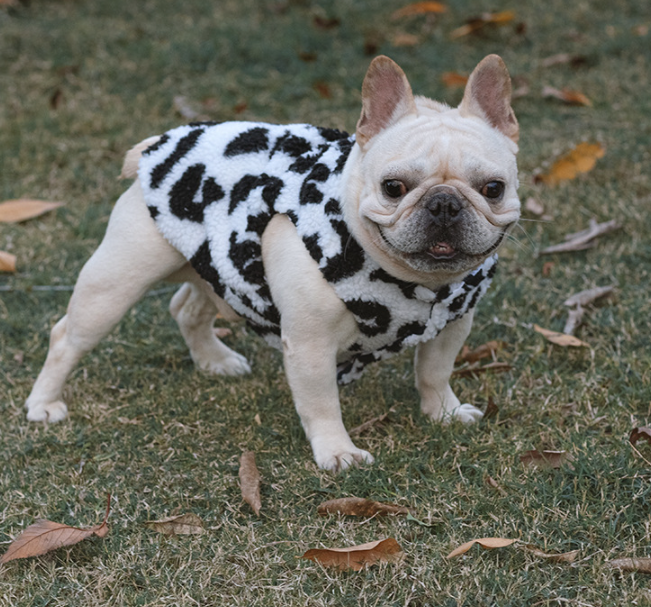 Cow Leopard Vest Details
