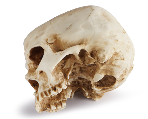 Resin Skull Flower Pot Image 2