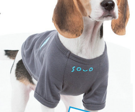 Pet Clothing Details