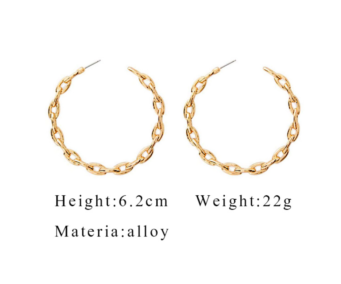 Stylish Earrings Image 1