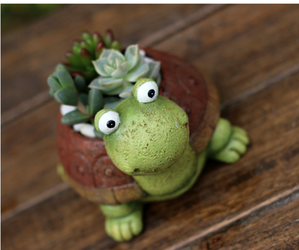 Succulent Pot Image 3