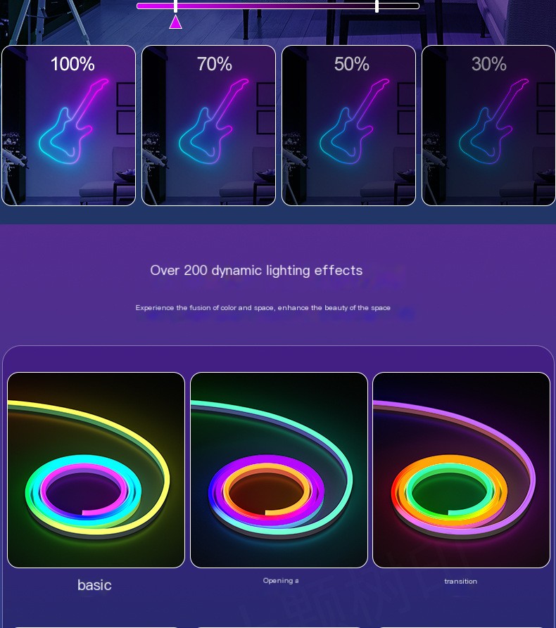 Neon Light Strip 1