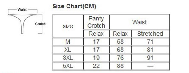 Lace Transparent Mesh Panties