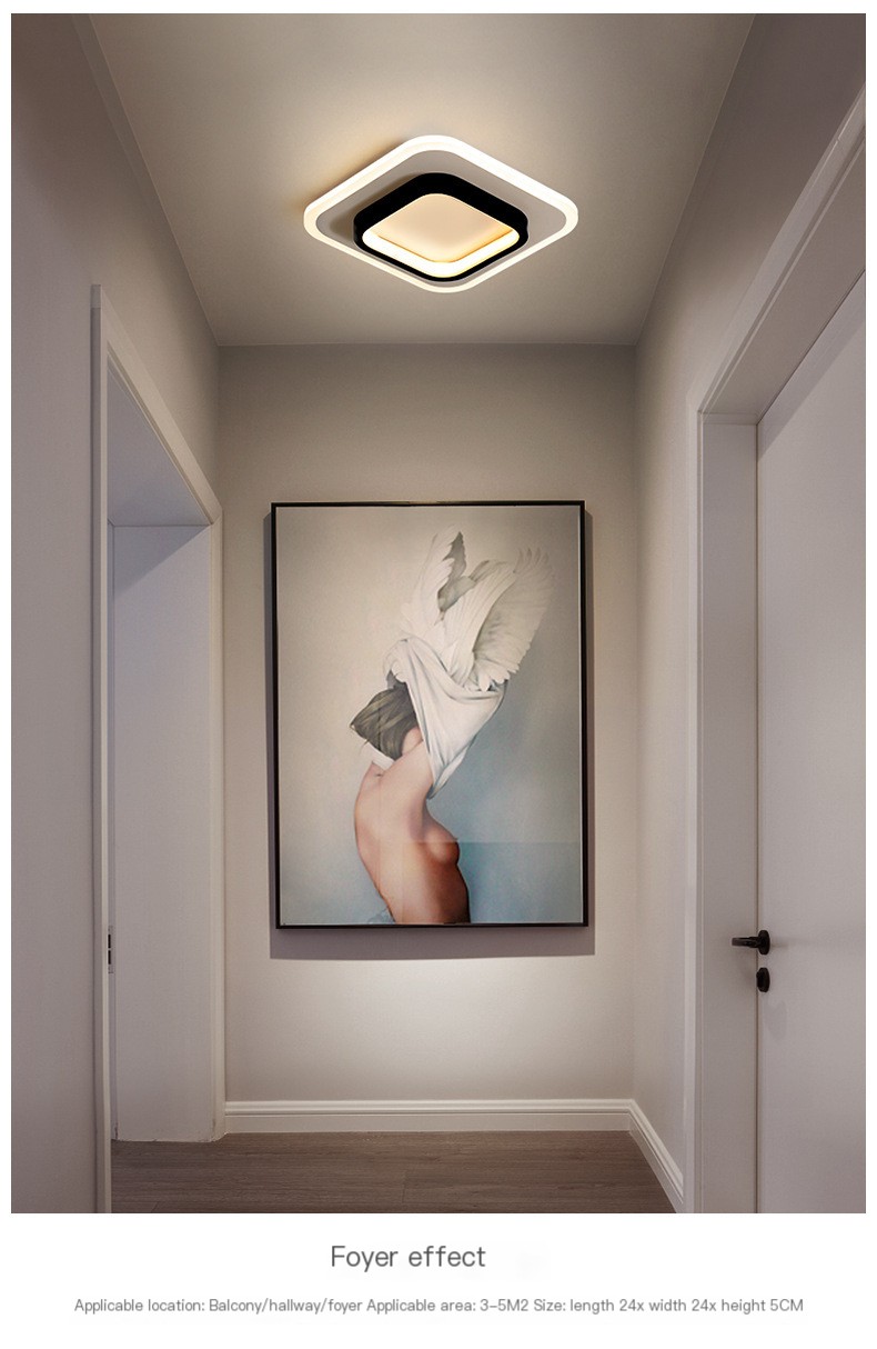 BARBEAM Modern Entrance Light 3