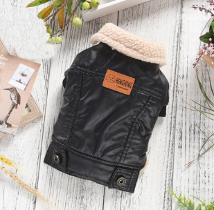 Jaquetinha de Couro Red Dog Coat