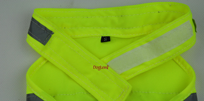 Fluorescent Safety Dog Vest on a Dog