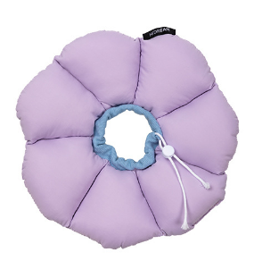 Elizabethan Collar Image 2