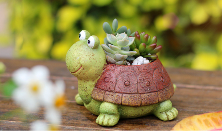 Succulent Pot Image 1