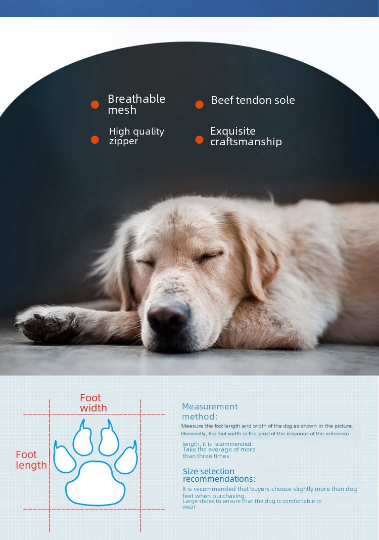 Dog Shoes 5