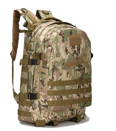 Backpack Side View