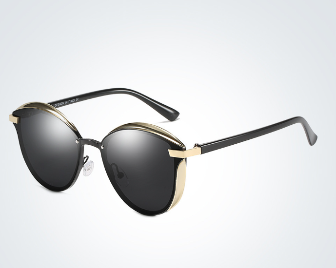 Polarized Sunglasses 4