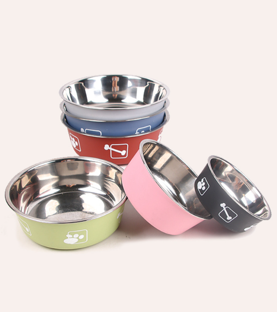 Dog Bowl Variety