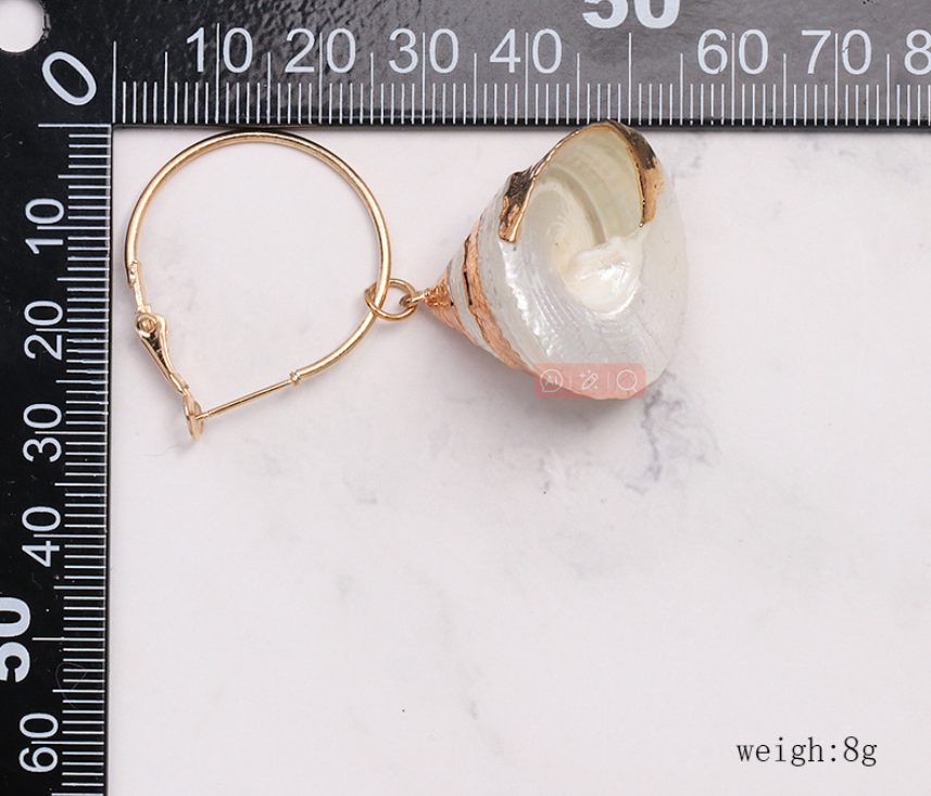 Stylish Shell Earrings
