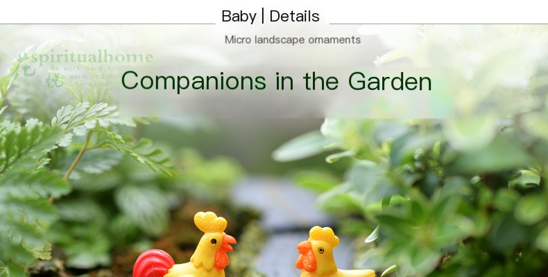 Miniature Chicken Family 1