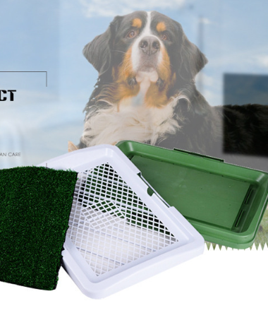 Dog Toilet Image 2