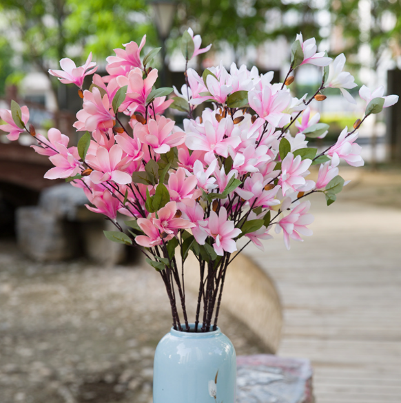 Orchid Image 4