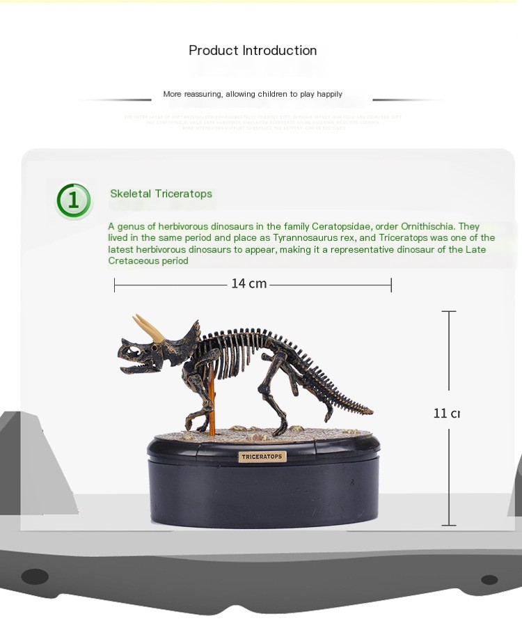 T. rex Skull