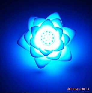 Lotus Flower Night Light 2
