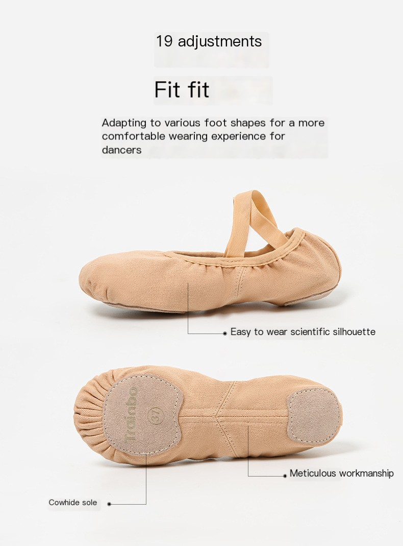 Ballet Shoes Image