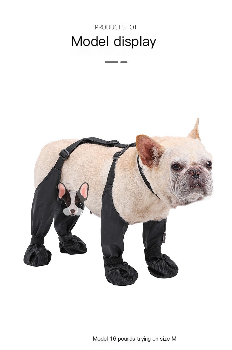Stylish dog footwear