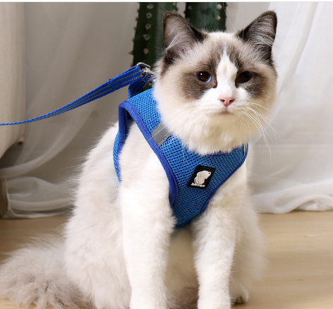 Gentle Paws Anti Strike Harness