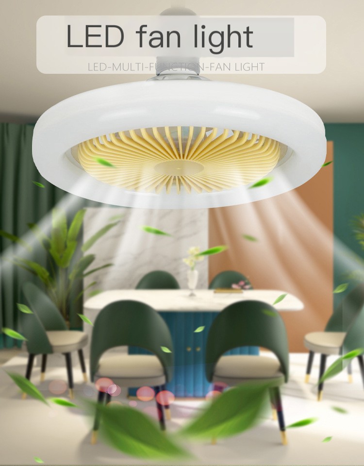 Ceiling Fan Light Image 1