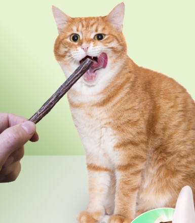 Natural Matatabi Cat Stick