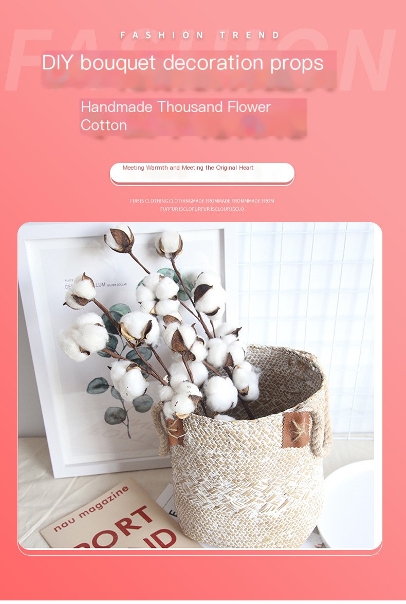 Cotton Dried Flower 2