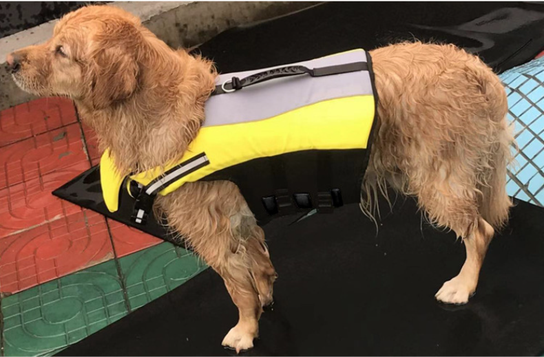 Pet Life Jacket Image 4