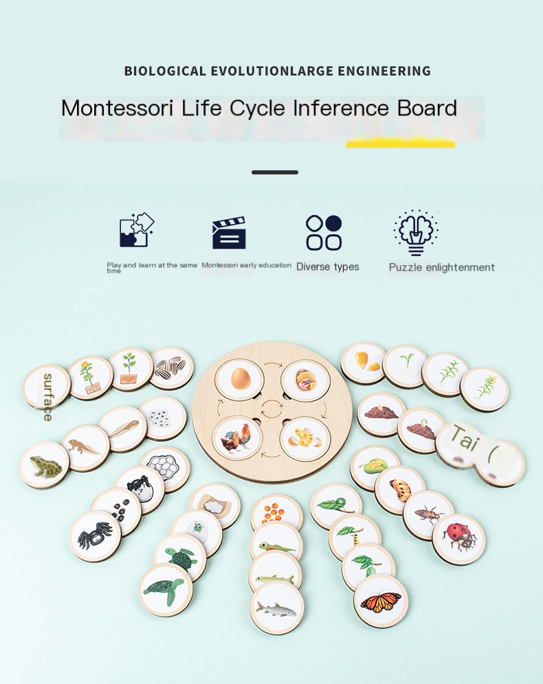 Montessori Wooden Puzzle Image 5