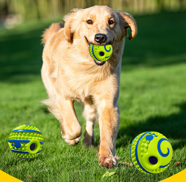 Bounce Dog Toy Ball Image 1