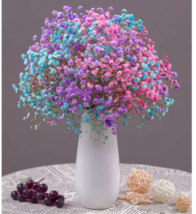 Naturally Dried Gypsophila