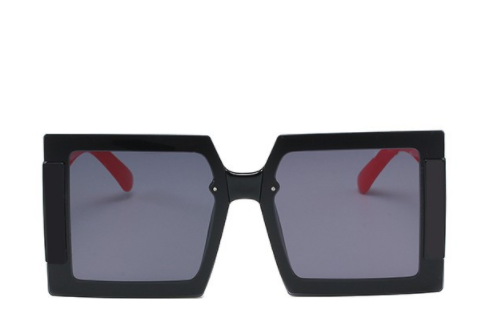 Model 6158 Sunglasses Image 2