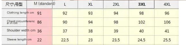 Gothic Lolita Dress Front View