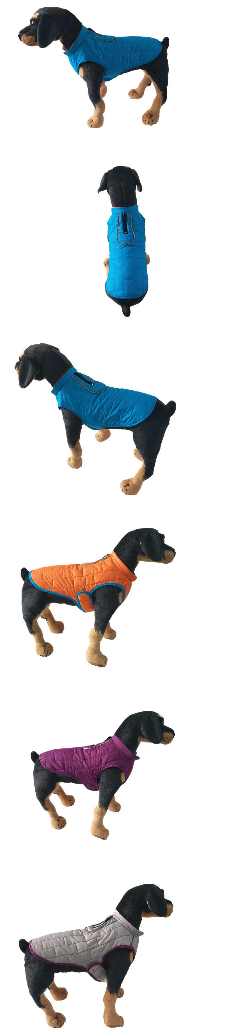 Dog Coat Colors