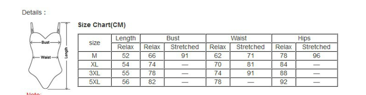 Lace Bodysuit Image 1