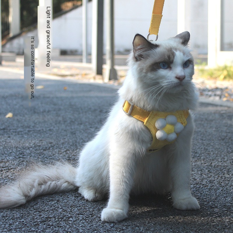 Pet Leash Accessories