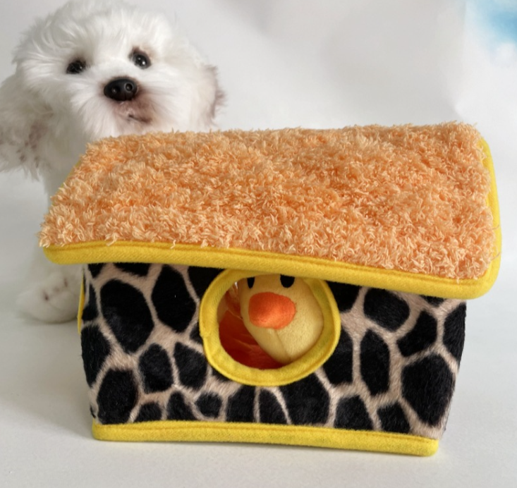 Cute Chick