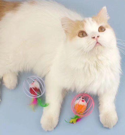 Cat Playing with Toy