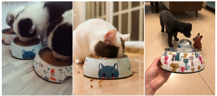 Cat Bowl Blue Cat