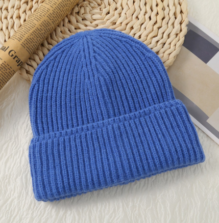 Fashion Solid Color Wool Hat