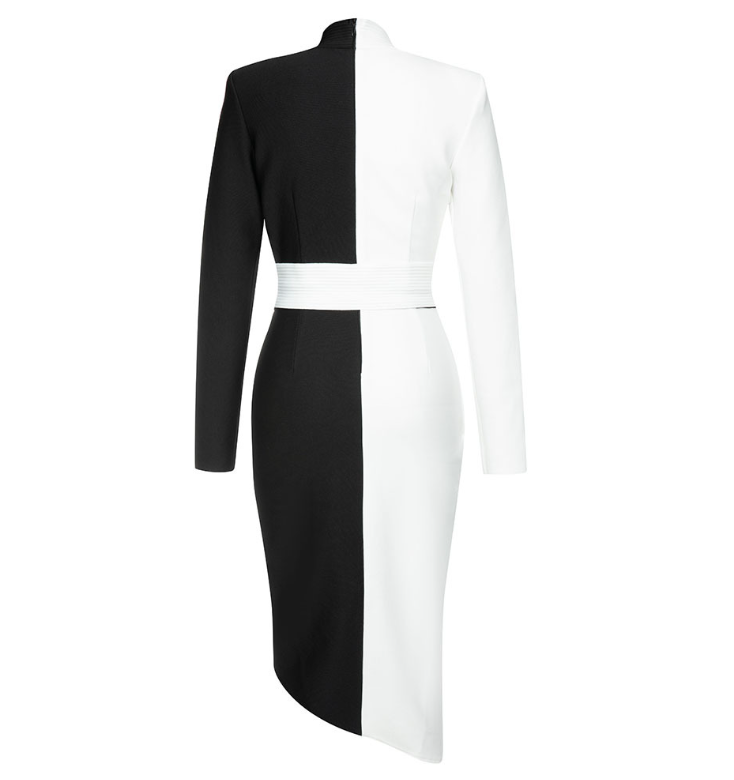 Color Block Dress Image 3