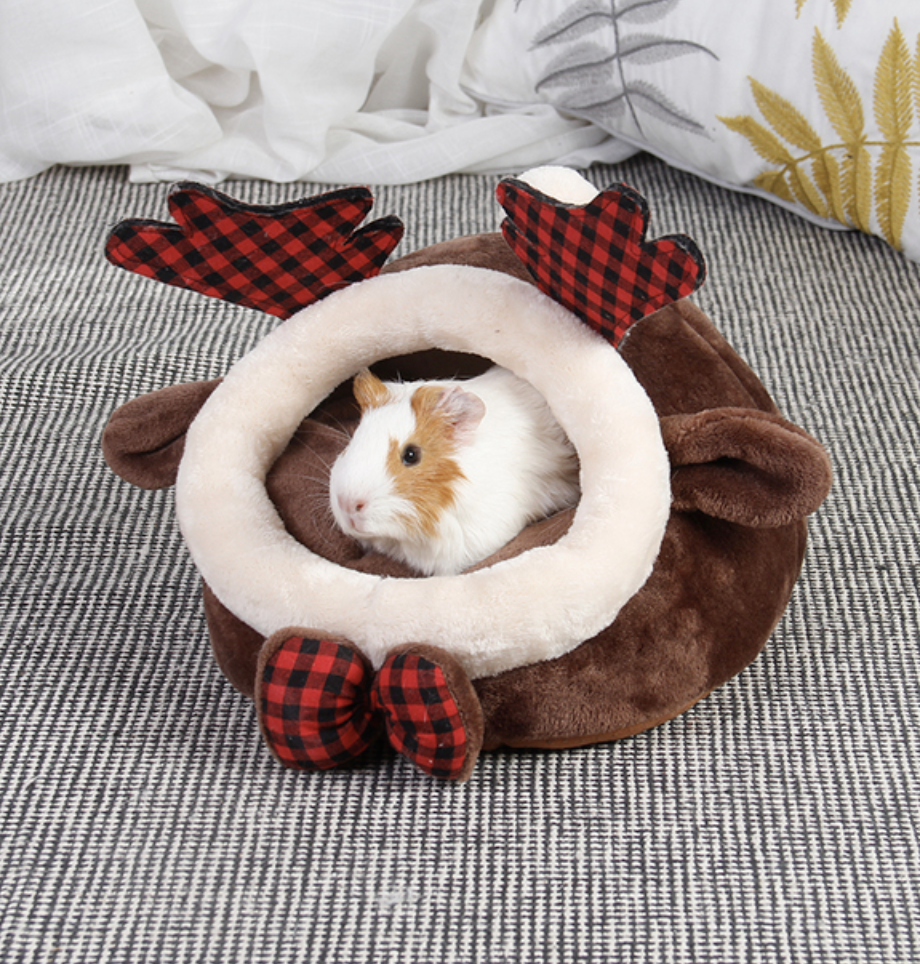 Pet House Image 1