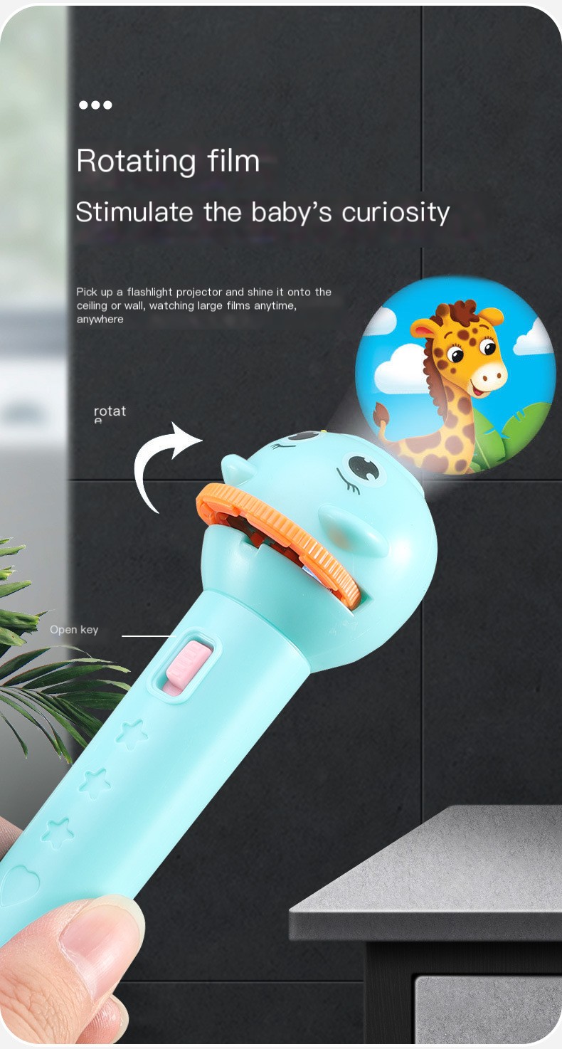 Projection Flashlight Example