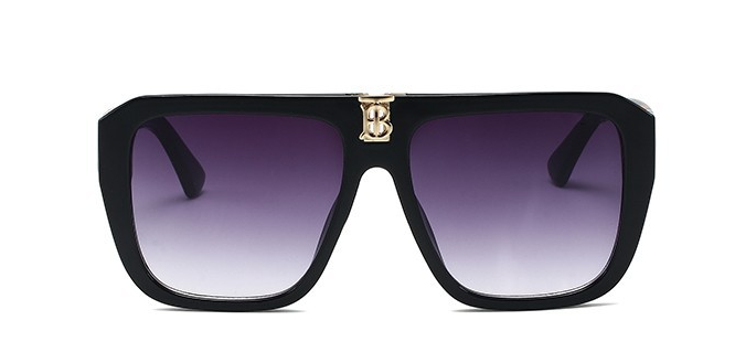 Model 4381 Sunglasses 1