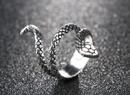 Fashion Snake Ring Image 1