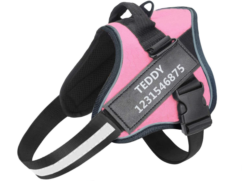 Dog Harness Image 4