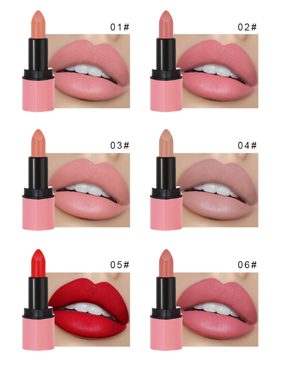 Colección de Lápiz Labial Nude Multicolor para Fiestas de Estudiantes de Moda