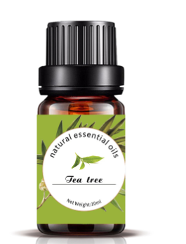 Essential Oils Variety