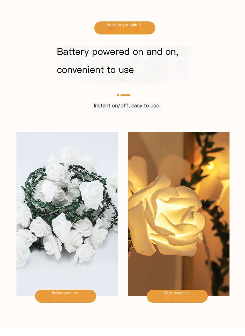 Rose Rattan Lights